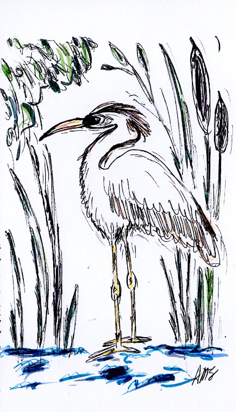 Egret in the Reeds art card pack cover